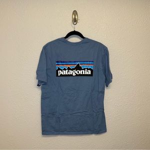 Blue Patagonia Tshirt